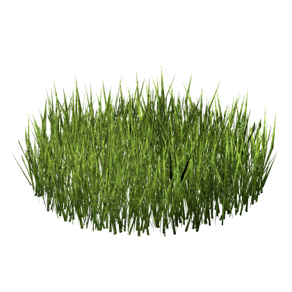 [UPDATE] Enhanced Realistic Grass Model New Game