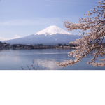 Team Fuji 分隊フジ