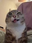 きいちゃんとはやっちだけのグループ
