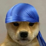 MogPlayz fans