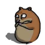 Survivor Chomik