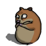 Survivor Chomik