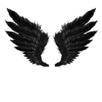 Dark_Wings_