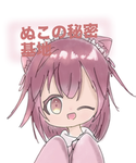 ぬこの秘密基地