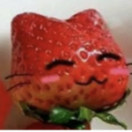 LADYBUG ######