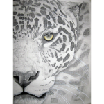 Jaguar Money