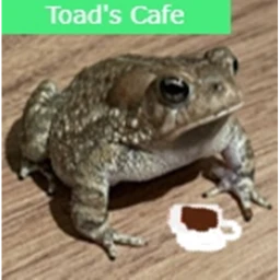Toad's Cafe icon