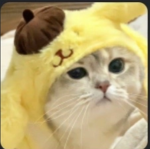 Cutieme's community