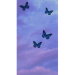 •TheButterflies•