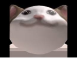 Pop cat army! (My own version)