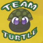 Team Turtle For Life