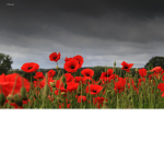 Remeberance Day