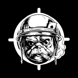 North Vietnam Border icon