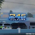 246 Culture (1.1.4)