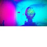 FUEL EGG WORSHIP