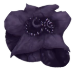 Withered Flower Alalal