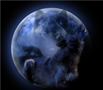 Black Wolves Recon