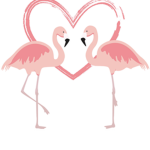 We’re the Flamingo’s