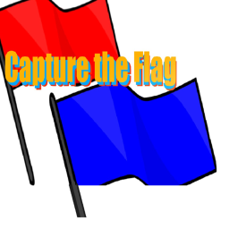 Catch The Flag