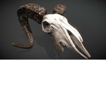 Skullyvaze fps