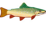 Team Trout