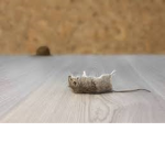 Jumping mice