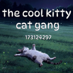 the cool kitty cat gang