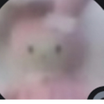 Katxllatea