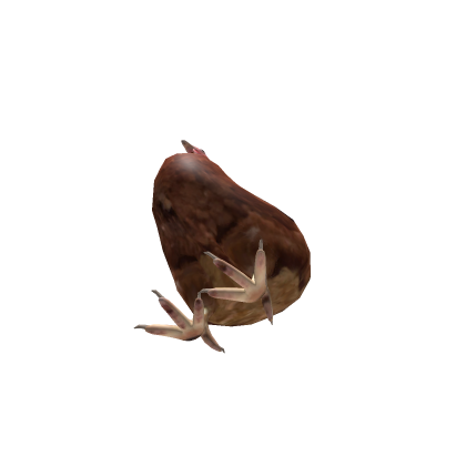 Chicken NPC