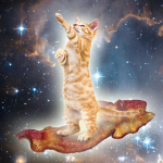 The Magical Flying Cats