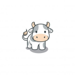 Aesthetic Cowz