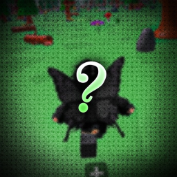 o.o