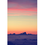 Little_Lavenders