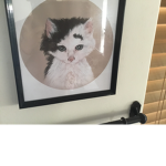 Cool cats for everyone