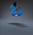 Rich player’s only