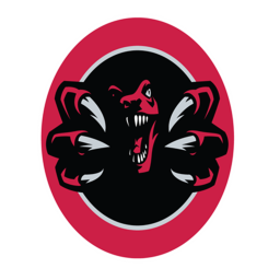 [ASFL]Miami Raptors Stadium