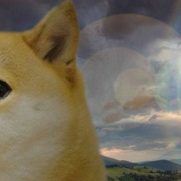 🐶