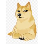 Sly Doge's group!