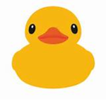 The Duck Kingdom