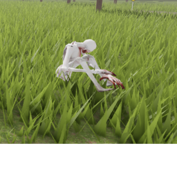 The Forest (TEST)