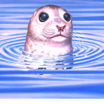 Seal Fan Club