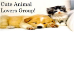 Cute animal lovers