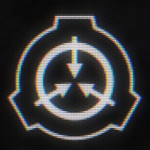 PSRT (Private Secure Riot Team)