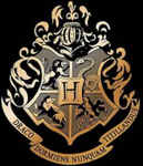 Hogwarts group of AGH