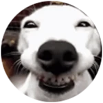 Game Pass Icon