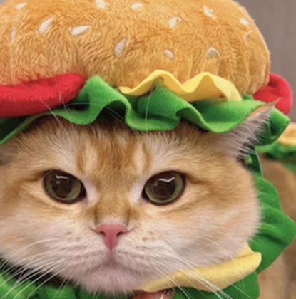 cheeseburgerscats Roblox group icon