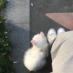 Aj’s Besties