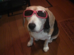 Cress Cresta FireDog