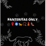 CARTEL DE LAS BABYS!