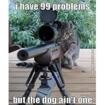 The Cats strike